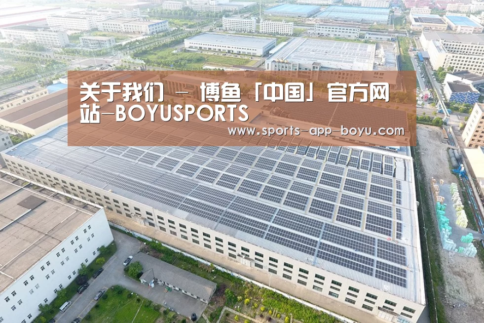 案例展示二