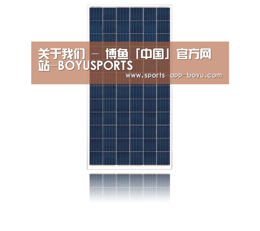 产品名称四