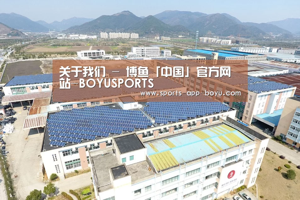 案例展示四