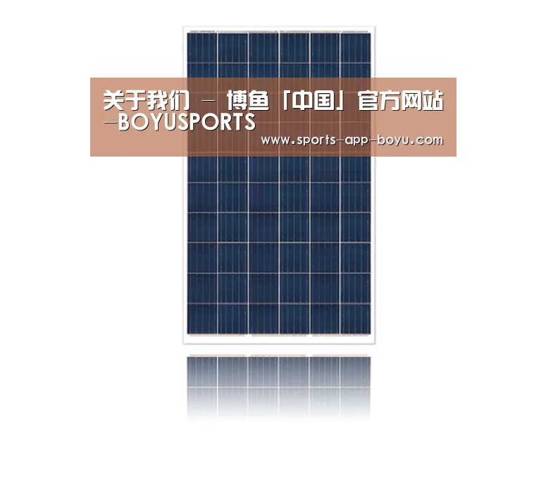 产品名称四