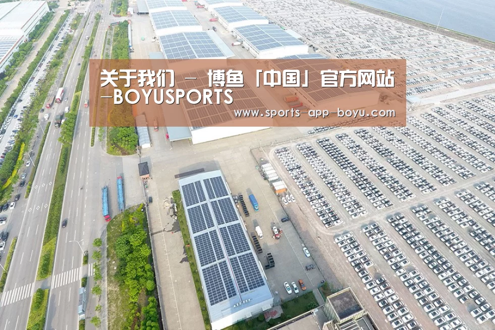 案例展示一