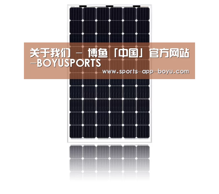 产品名称六