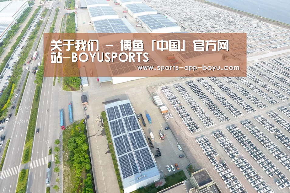 案例展示一