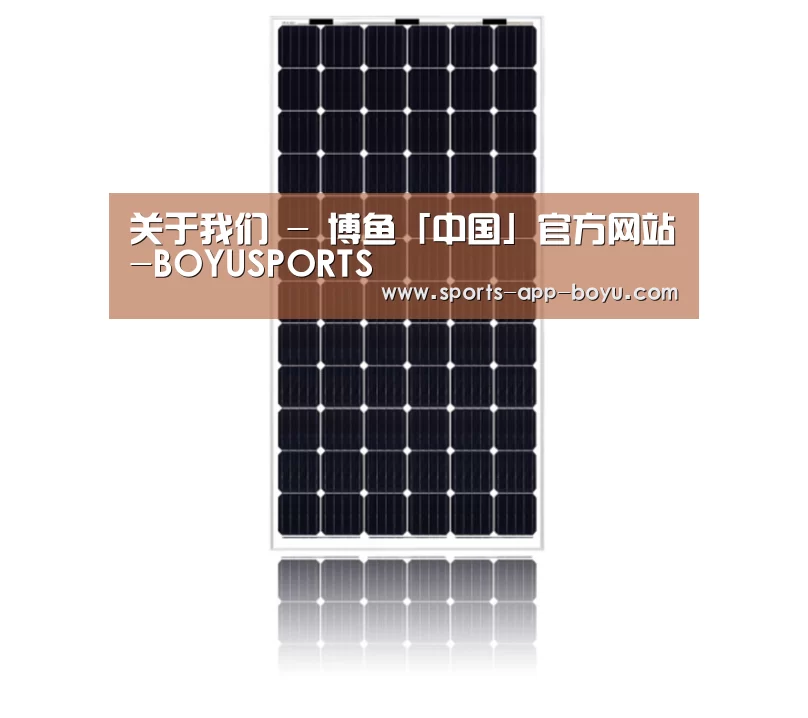 产品名称六