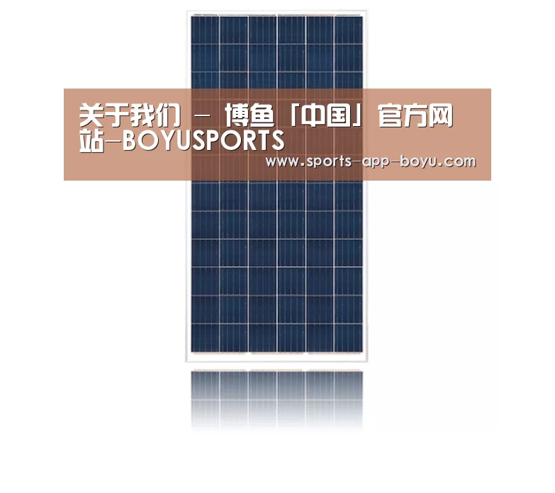 产品名称三