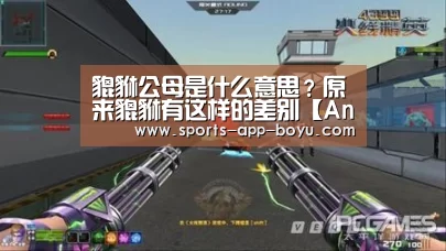 貔貅公母是什么意思?原来貔貅有这样的差别【Android下载】(图1) APP下载