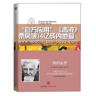 博鱼体育APP